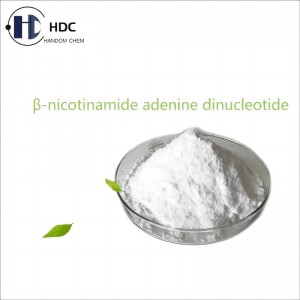 Bèta-nicotinamide-adenine-dinucleotide