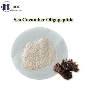 Sea cucumber oligopeptide