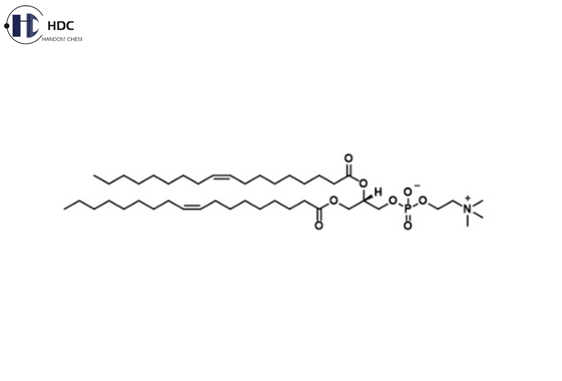 이芥酰磷脂酰胆碱-2