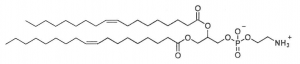 1,2-dioléoyl-sn-glycéro-3-phosphoéthanolamine