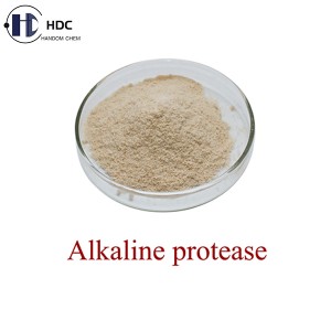 Protéase alcaline