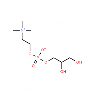 L-Alpha glycérylphosphorylcholine