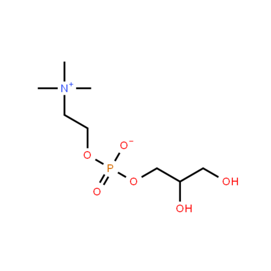 甘磷酸胆碱化学構造式